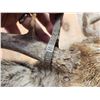 Image 5 : 5x5 Mule Deer Shoulder Mount Taxidermy