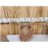 Image 4 : 3 Sets Of Whitetail Antlers On Plaques