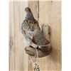 Image 4 : Grey Partridge Full Body Bird Taxidermy