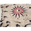 Image 6 : Soft Tanned American Bison Buffalo Robe With Native American Painted Theme