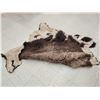 Image 9 : Soft Tanned American Bison Buffalo Robe With Native American Painted Theme