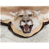 Image 5 : Mountain Lion Cougar Rug Taxidermy