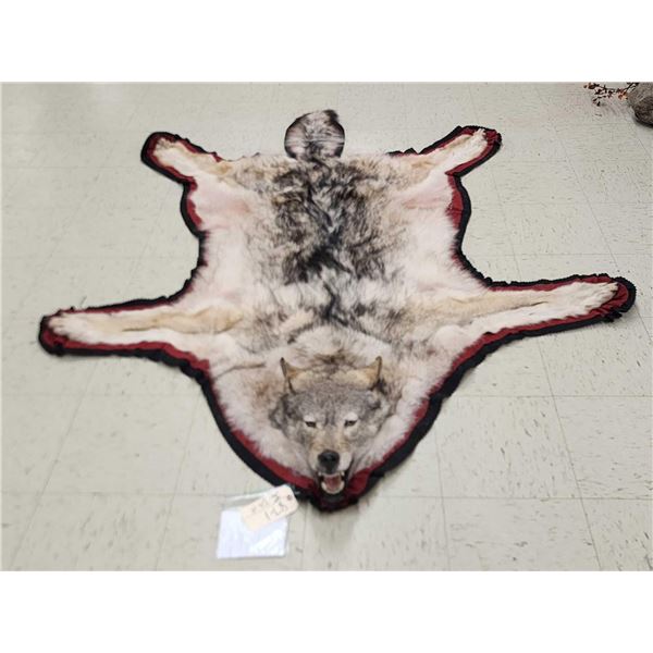 Canadian Wolf Rug Taxidermy