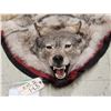 Image 2 : Canadian Wolf Rug Taxidermy