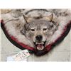 Image 5 : Canadian Wolf Rug Taxidermy