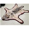 Image 6 : Canadian Wolf Rug Taxidermy