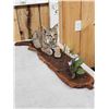 Image 3 : Baby Bobcat Watching A Butterfly Full Body Taxidermy Mount