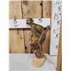 Image 2 : Squirrel Monkey Full Body Taxidermy Mount