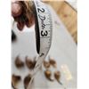 Image 5 : Set Of Big Alaskan Grizzly Bear Claws Taxidermy