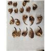 Image 6 : Set Of Big Alaskan Grizzly Bear Claws Taxidermy