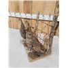 Image 5 : Pair Of Prairie Chickens Full Body Bird Taxidermy