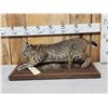 Image 3 : Juvenile Bobcat Stalking Pose Full Body Taxidermy Mount