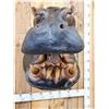 Image 5 : Reproduction Hippopotamus Shoulder Mount Taxidermy