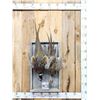 Image 1 : Rooster & Hen Ringneck Pheasant Harvest Mount Bird Taxidermy