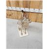 Image 7 : Jack Rabit Full Body Taxidermy Mount