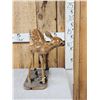Image 3 : Whitetail Fawn Full Body Taxidermy Mount