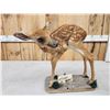 Image 8 : Whitetail Fawn Full Body Taxidermy Mount