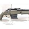 Image 4 : Ruger American. 204 Ruger Bolt Action Rifle With Upgrades
