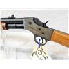 Image 3 : Stevens Visible Loader .22 Pump Rifle
