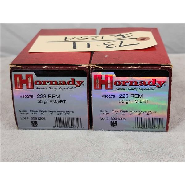 100 Rounds Of .223 Ammunition
