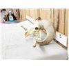 Image 5 : Big Domestic Ram Sheep Skull Taxidermy