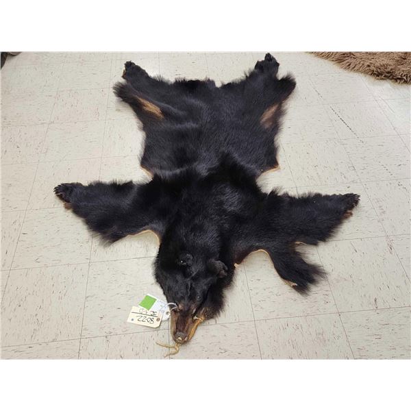 Black Bear Tanned Fur Taxidermy