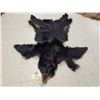 Image 1 : Black Bear Tanned Fur Taxidermy