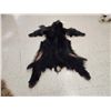 Image 4 : Black Bear Tanned Fur Taxidermy