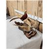 Image 2 : Trio Of Golden Pheasants Taxidermy