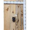 Image 1 : Mini Rex Rabbit Taxidermy Mount