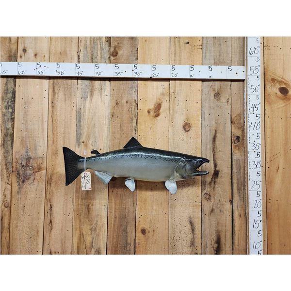 36" King Salmon Real Skin Fish Taxidermy