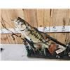 Image 3 : 24" Largemouth Bass Real Skin Fish Taxidermy