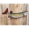 Image 3 : 36" Northern Pike Real Skin Fish Taxidermy