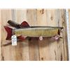 Image 3 : 42" Muskie Real Skin Fish Taxidermy