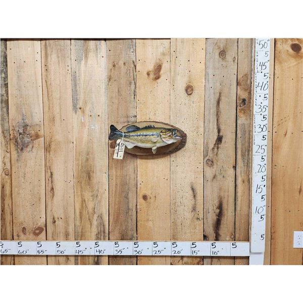 18" Largemouth Bass Real Skin Fish Taxidermy