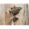Image 6 : 17" Smallmouth & 10" Bluegill Real Skin Fish Taxidermy