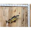 Image 1 : 28" Walleye Real Skin Fish Taxidermy