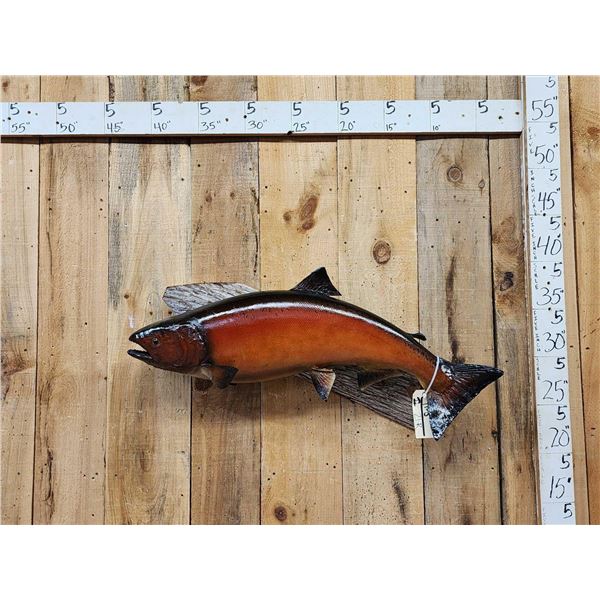 36" Salmon Real Skin Fish Taxidermy