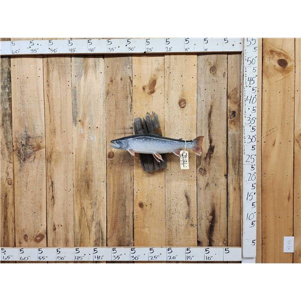 25" Alaskan Dolly Varden Char Trout Real Skin Fish Taxidermy