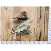 Image 1 : 20" Largemouth Bass Real Skin Fish Taxidermy