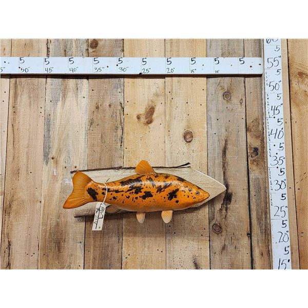 25" Pond Koi Reproduction Fish Taxidermy
