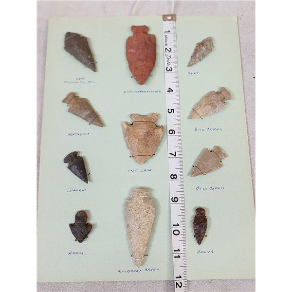 Collection Of 11 Arrowheads Native American Artifact