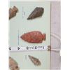 Image 2 : Collection Of 11 Arrowheads Native American Artifact