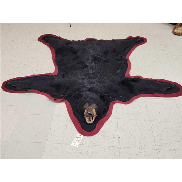 Black Bear Rug Taxidermy