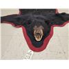 Image 2 : Black Bear Rug Taxidermy