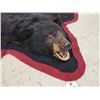 Image 4 : Black Bear Rug Taxidermy