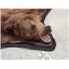 Image 4 : Nice Brown Phase Black Bear Rug Taxidermy