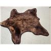 Image 5 : Nice Brown Phase Black Bear Rug Taxidermy