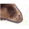Image 9 : Nice Brown Phase Black Bear Rug Taxidermy