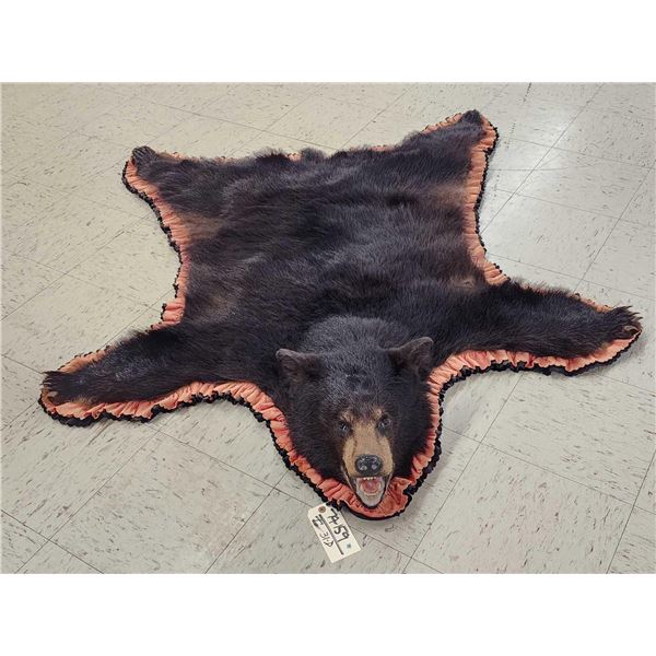 Black Bear Rug Taxidermy